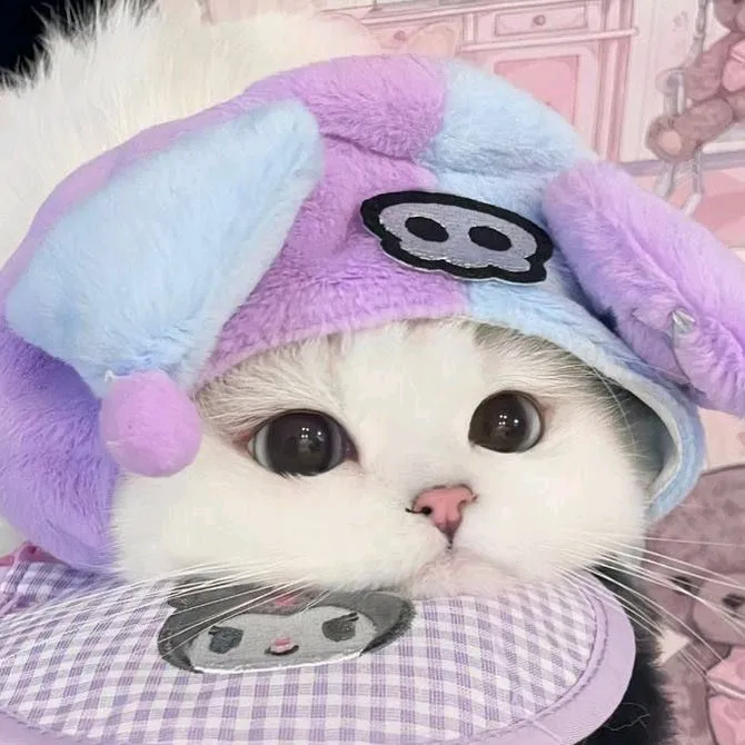 zaza.imut.29