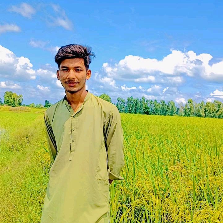 arman.ali.443