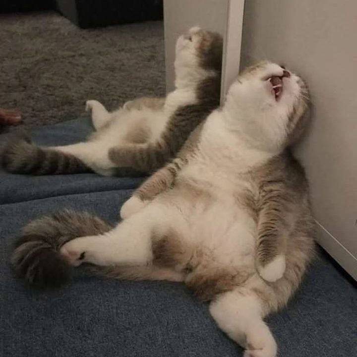 mingtranggg