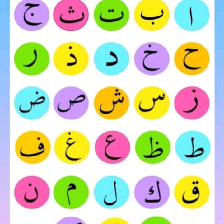 fatibaod84m