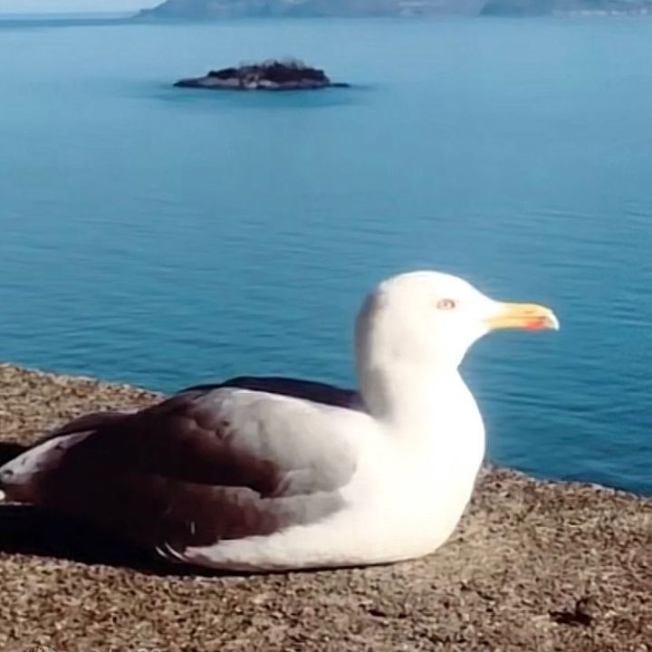 kaybolan.yillar28