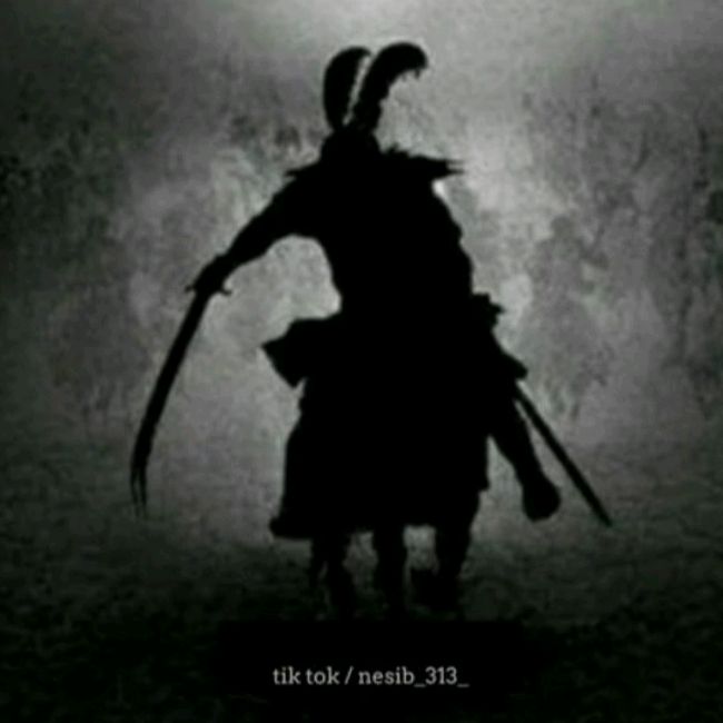 nesib_313_
