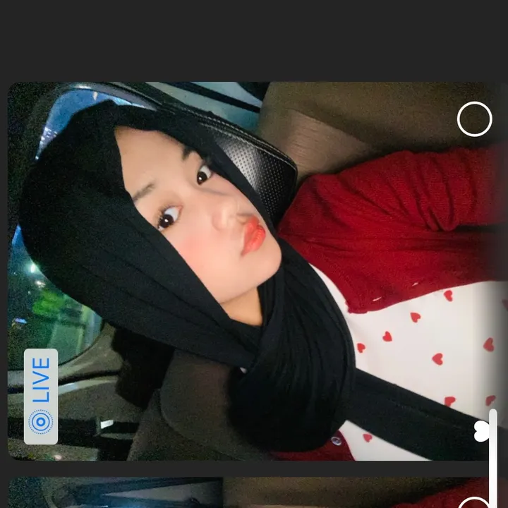f4irydimpese