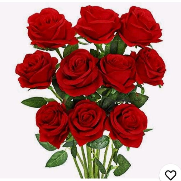 shirajsrilanka