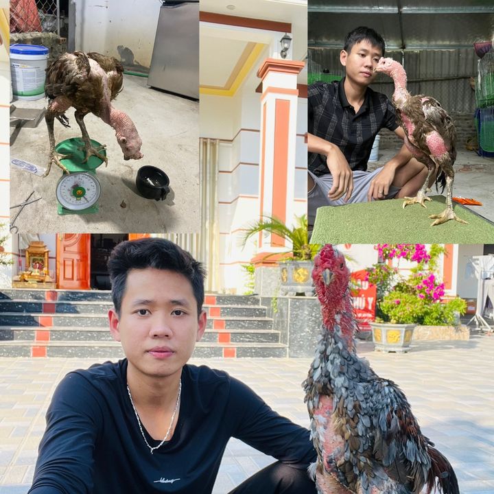 quyen.ba.vi.bs.thu.y