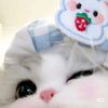 shang_358