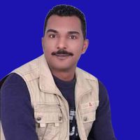 tamergomaa24