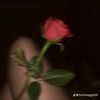 softly_sinister