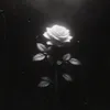 02.09.05_