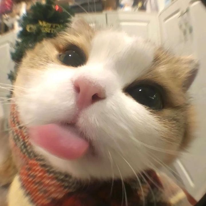 .jooyyi
