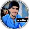 muzafartareen3