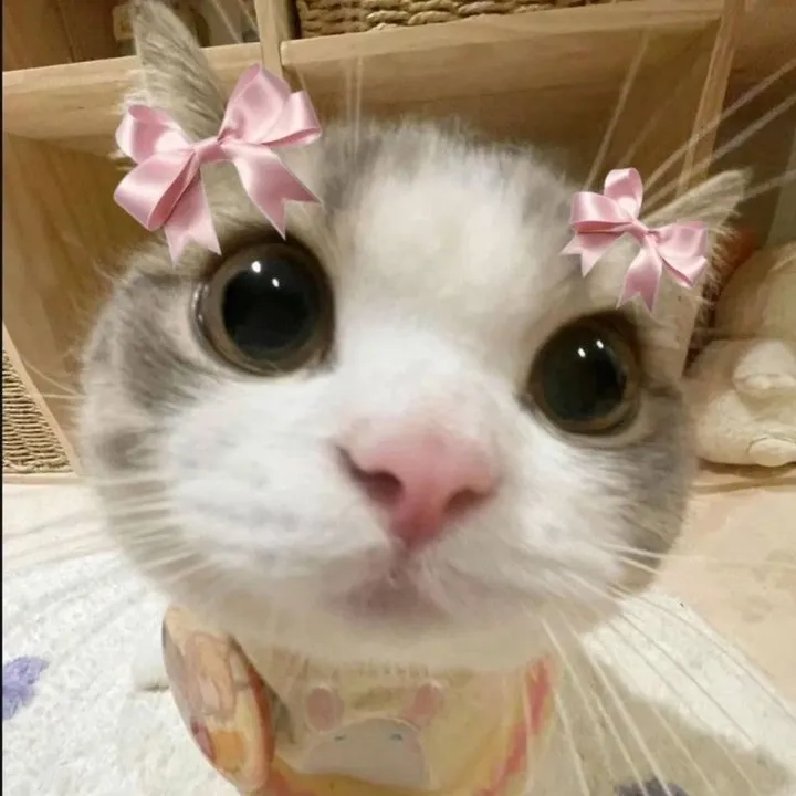keyshaarindrarama