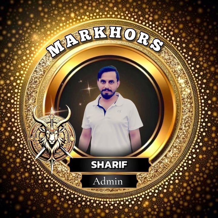msharifork