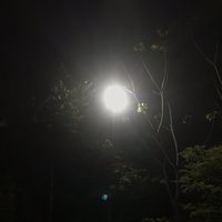 tong_11111111