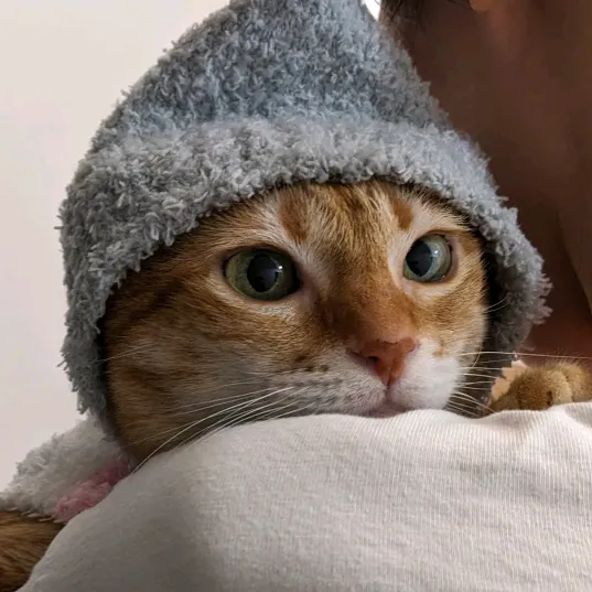 runocat