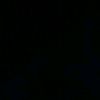 elizz262