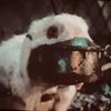 stuffie_rants