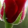 anil.gupta329