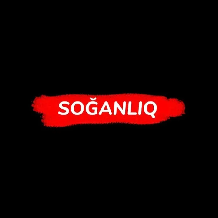 soganix_toylari_