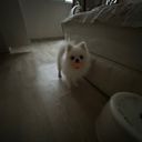 @milanakompot0