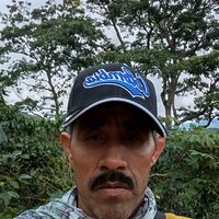 german.briez0oficial