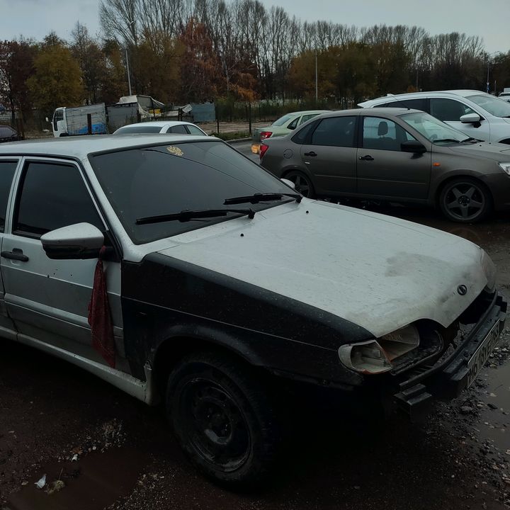 senyx_2115