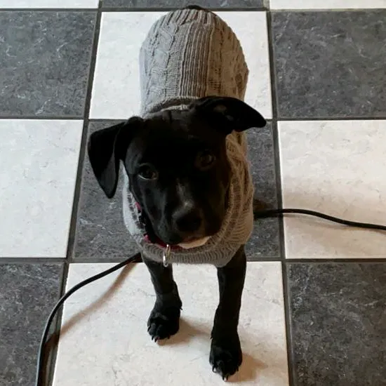 littlenala1
