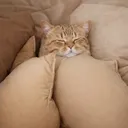 @mellpov1