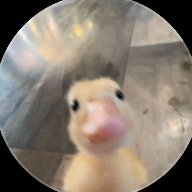 _vinoo9
