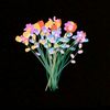 maskedgirls4