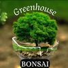 greenhousebonsailtda
