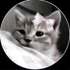 introvert_queen23
