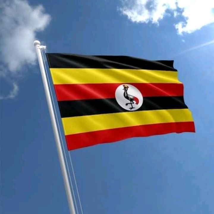 whatsonuganda