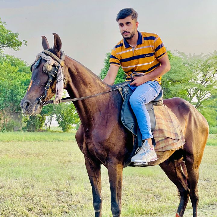 wahabgujjar531