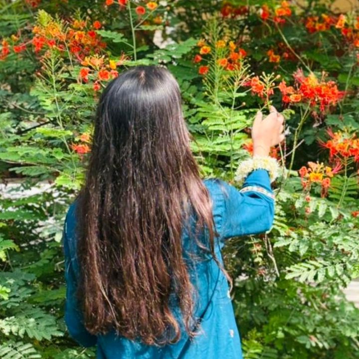 javeria_shykh