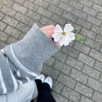 nove_227