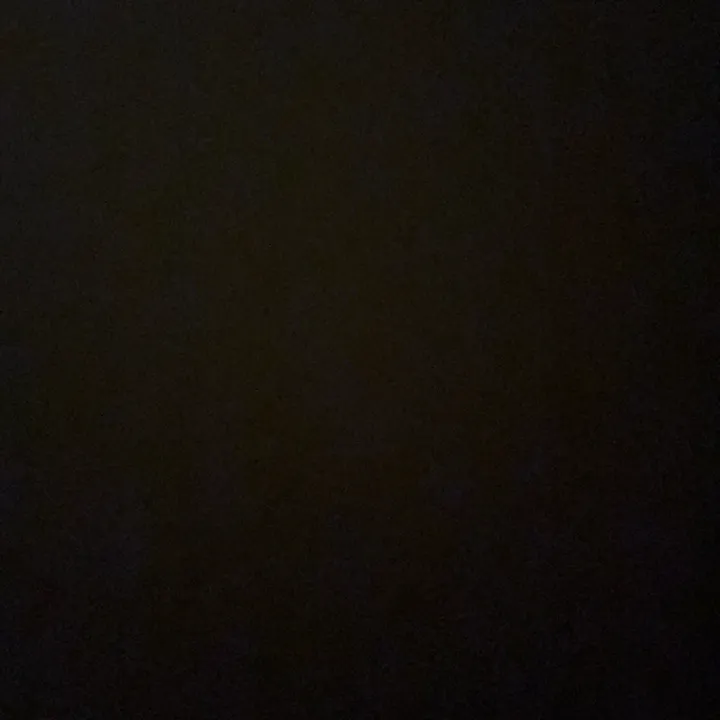 caamii_iignacia