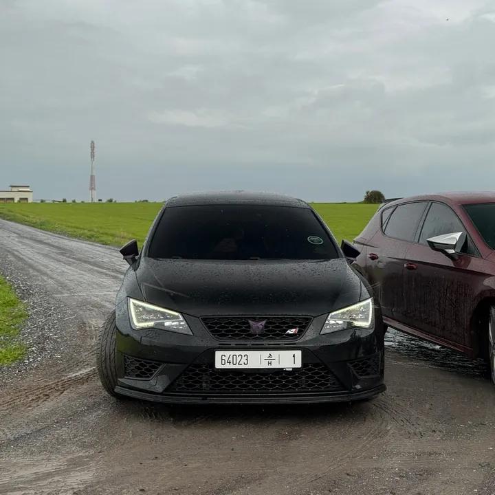 ghani_cupra5f