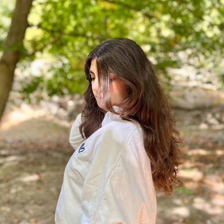 setareh_mm