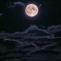 writer_scarr