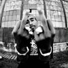 che_williams.4