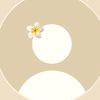 arij__02