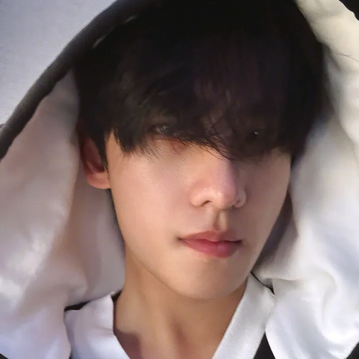 @yangmao991
