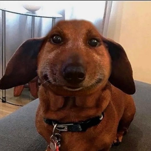 ddunaxy
