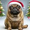 mops_kaki