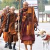 walk.for.peace8