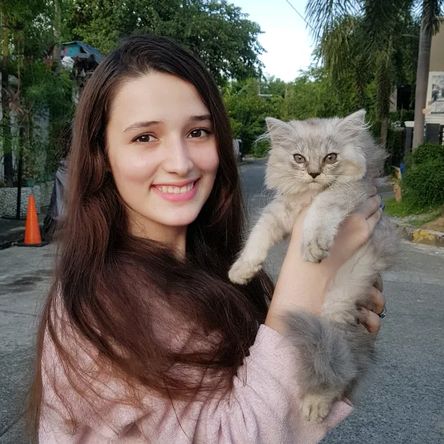 hurimeow