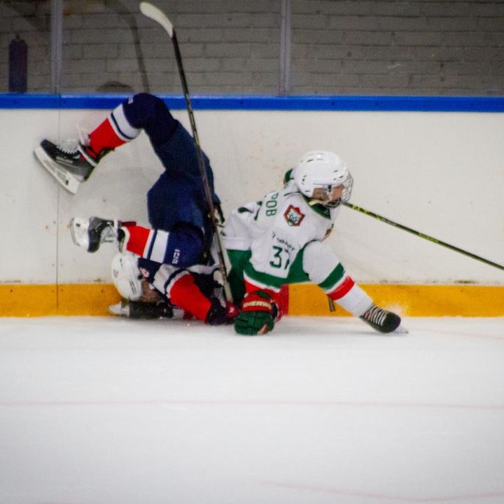 bysrtik_37