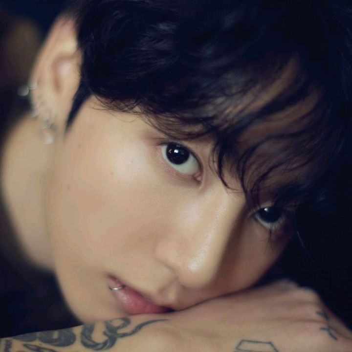 @avril_kook