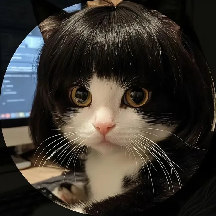 @pp__8106